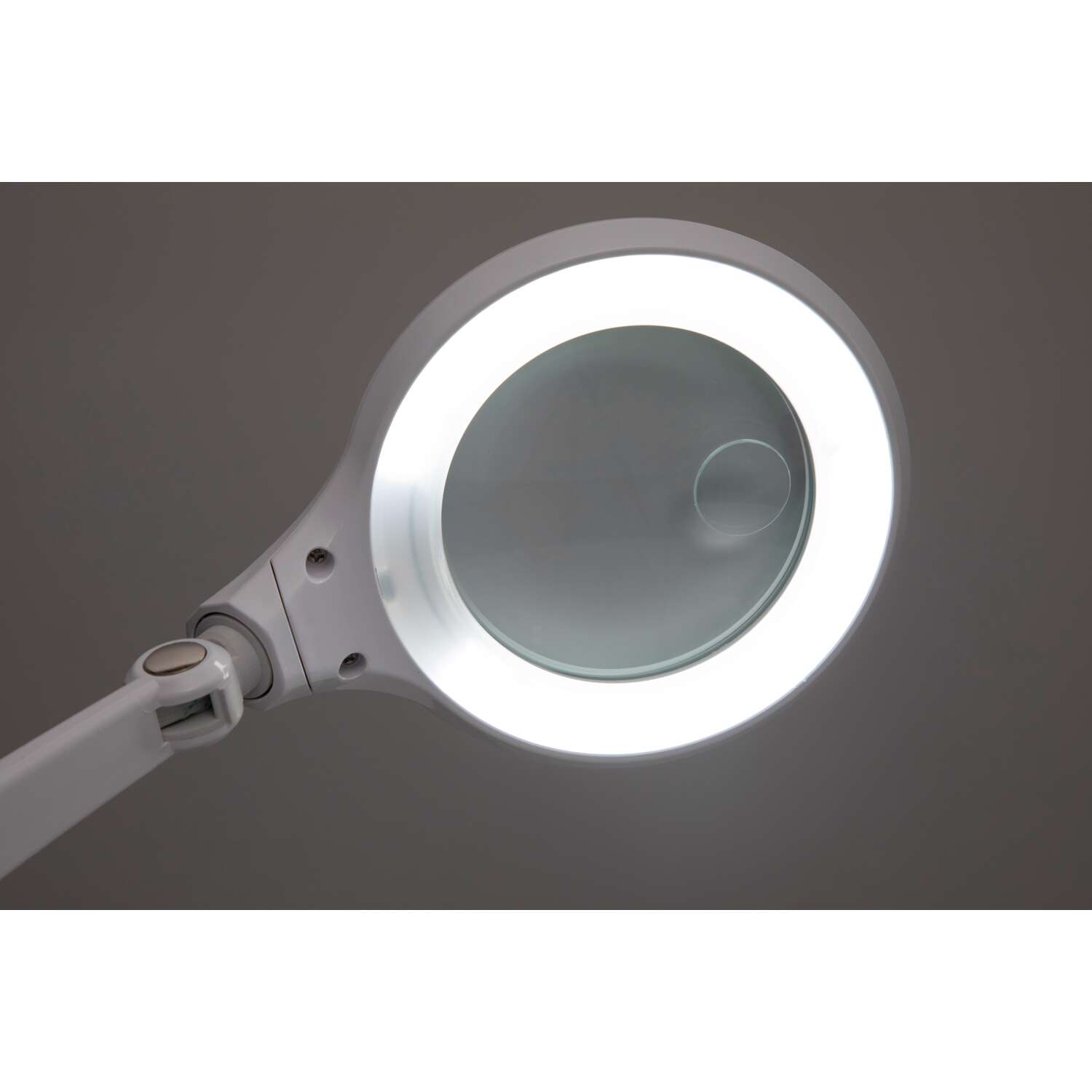 Loeplamp LED MAULiris, dimbaar