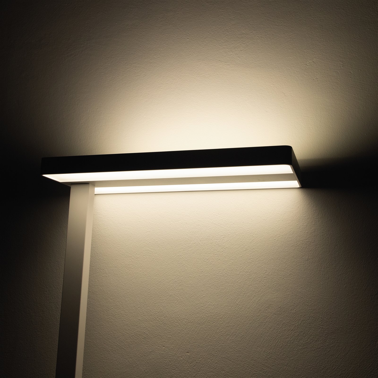 LED-Standleuchte MAULjaval, dimmbar