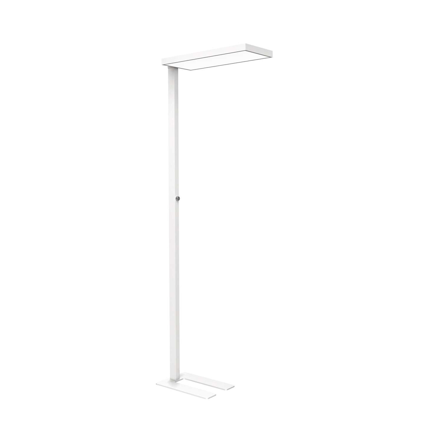 LED floor lamp MAULjura, dimmable