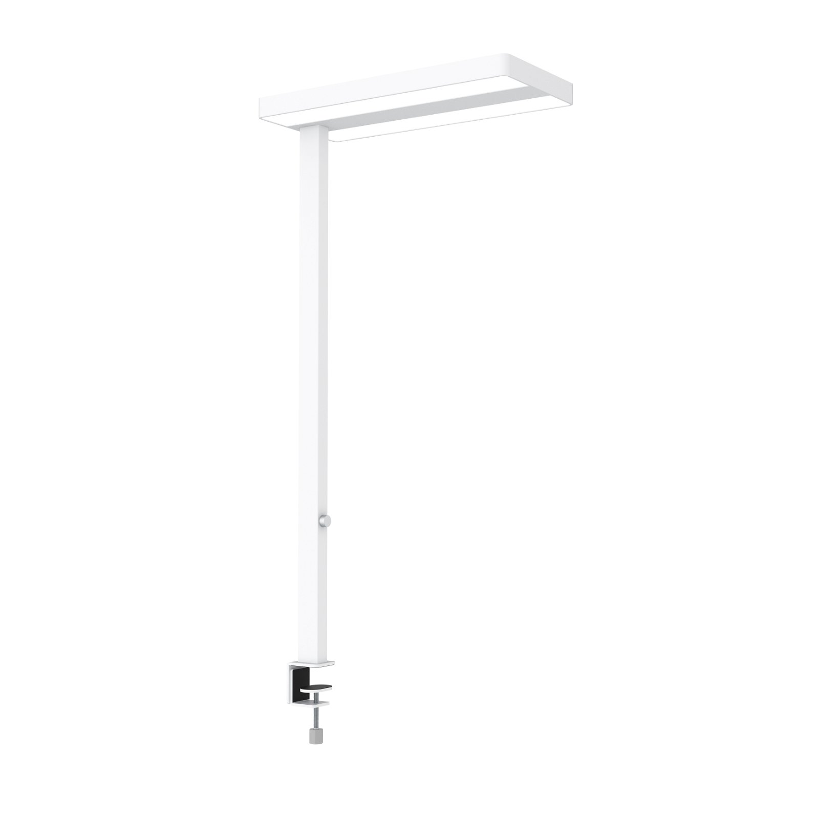 LED-Standleuchte MAULjaval, dimmbar